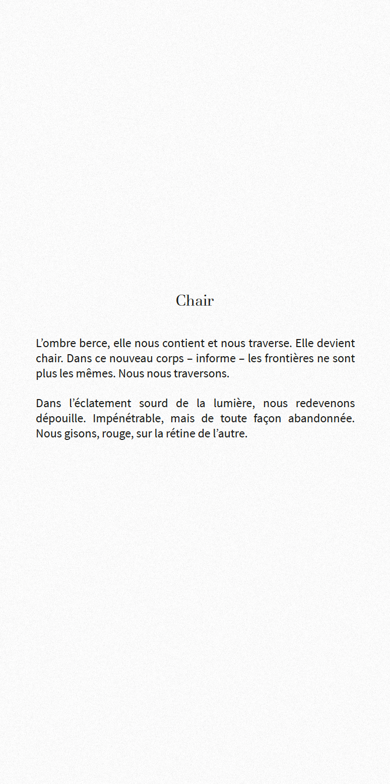 texte chair gris bruit v2